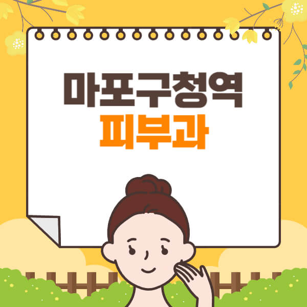  마포구청역 피부과 전문의 필러·보톡스·리프팅 정보 총정리!