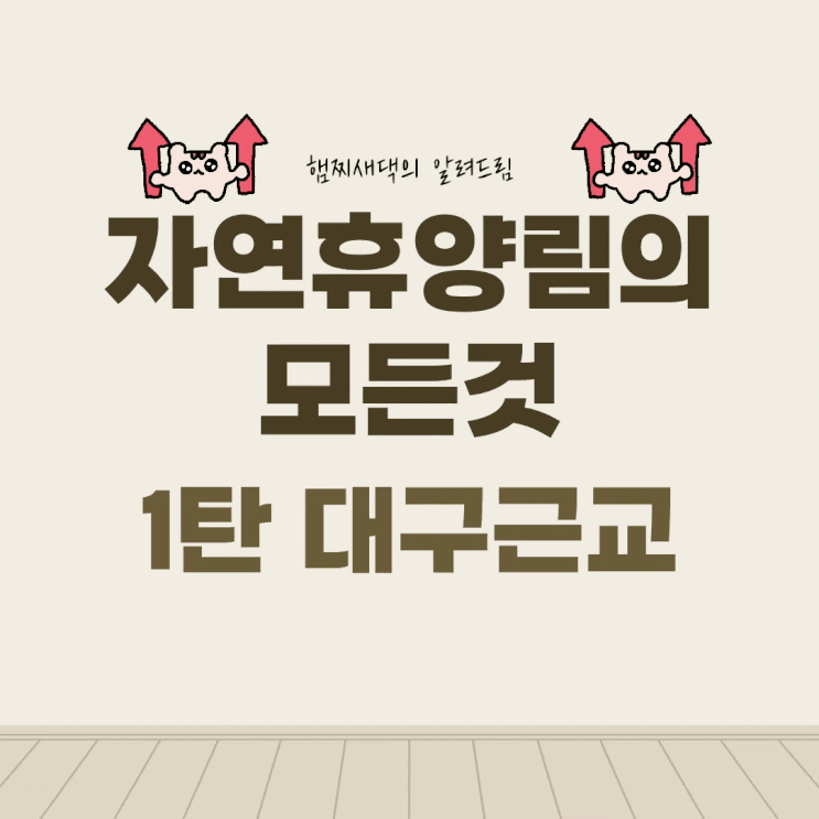  자연휴양림(숲나들e)의 모든 것 / 예약 방법, 바비큐 여부 총정리 - 1탄 대구 근교