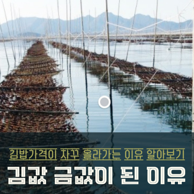  김가격 금값으로 상승 된 이유와 전망 살펴보기