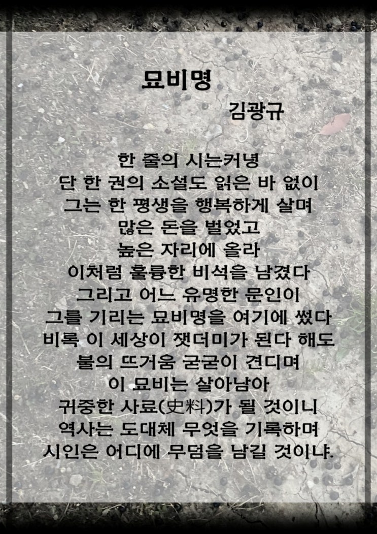  시인의 절규 김광규의 묘비명