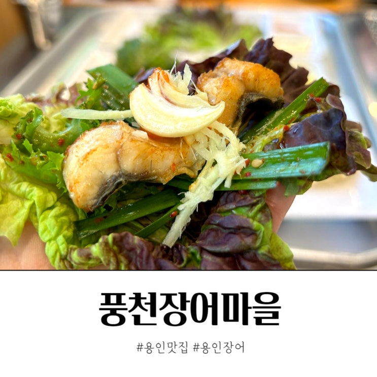  용인맛집 풍천장어마을 내맘대로 골라먹는 용인장어