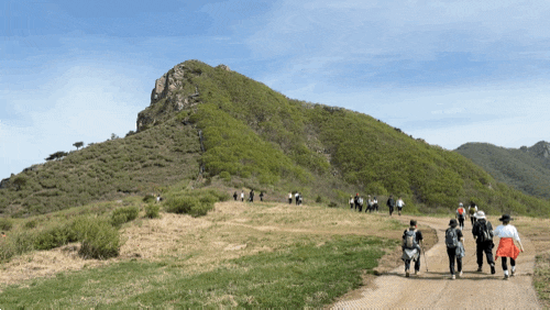  100대 명산 철쭉시기 봄산행 등산추천 황매산 군립공원