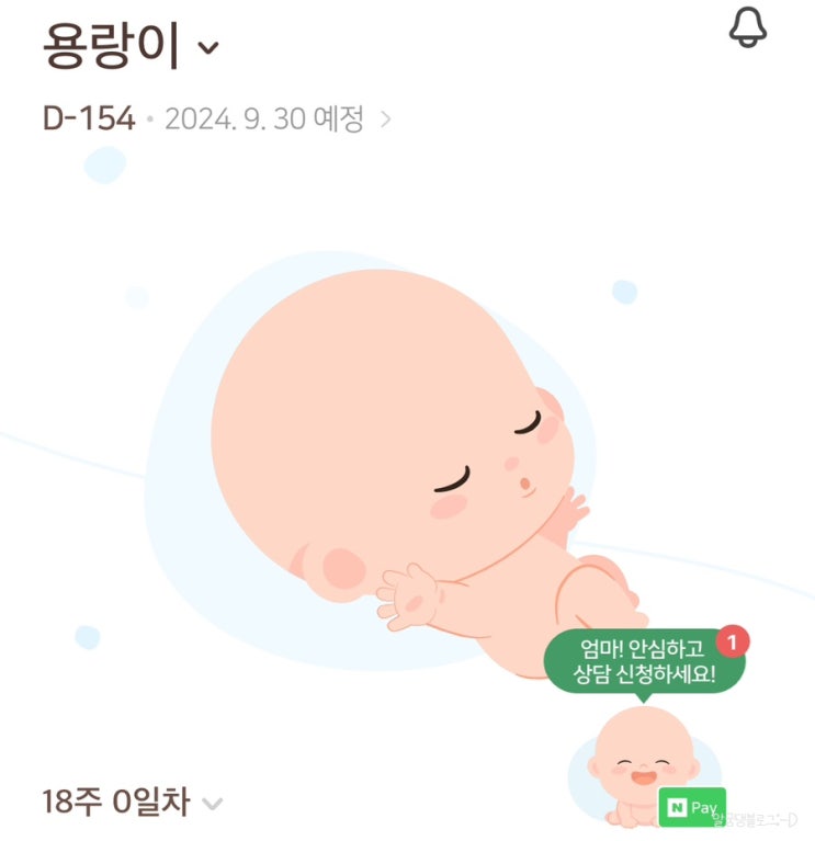 임신 18주차 | 입덧은 이제 끝?!! 영양제 잘 챙겨먹기 임신 18주차 | 입덧은 이제 끝?!! 영양제 잘 챙겨먹기