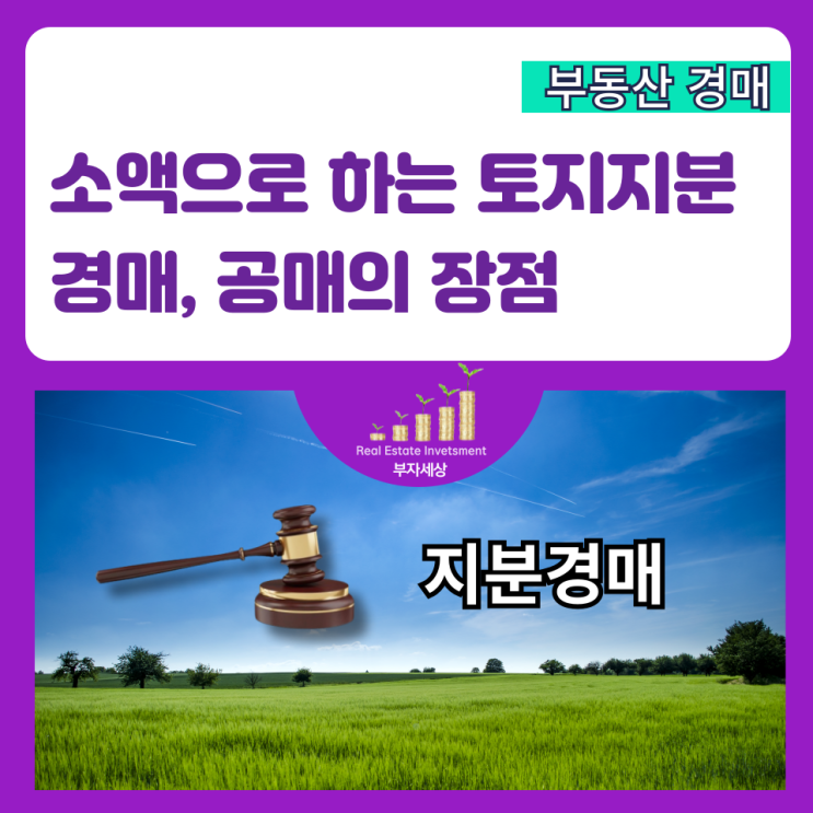  소액으로 하는 토지 지분 경매, 공매의 장점
