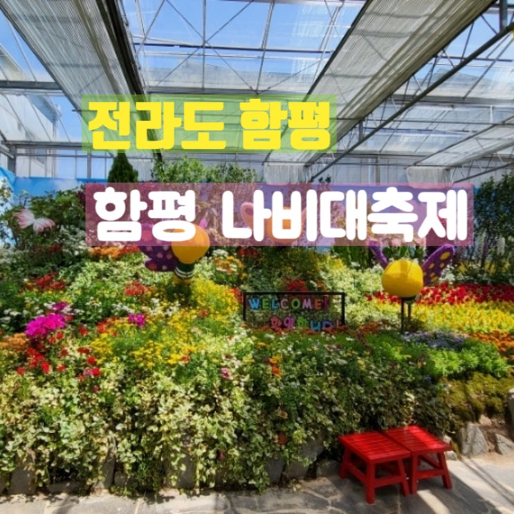  전남 함평여행 함평엑스포공원 함평나비대축제 후기