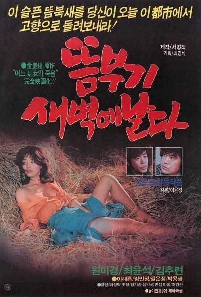  뜸부기 새벽에 날다(1984) - 분단의 비극도 사회 고발도 밋밋한 미스터리에 파묻히다