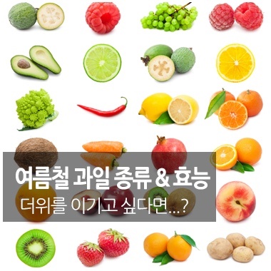  무더운 여름에 먹기 좋은 시원한과일 추천해 보자