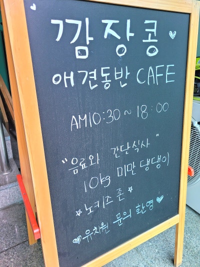 사진 2