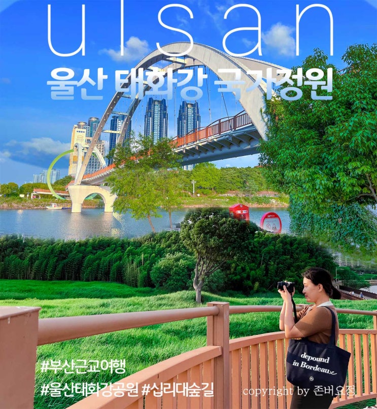  [5년차 직장인 일탈 여행기] 울산 태화강 공원 2박 3일간 다녀와본 에어비엔비 이용 꿀팁까지 #울산태화강국가정원 #십리대숲길 #피트닉준비 (1탄)