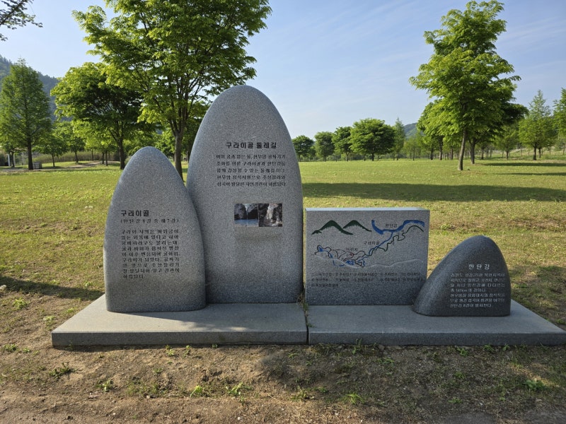 사진 6