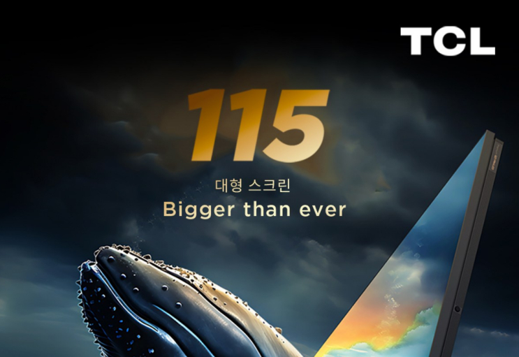  TCL X955 QD-Mini LED 4K TV 115인치 리뷰