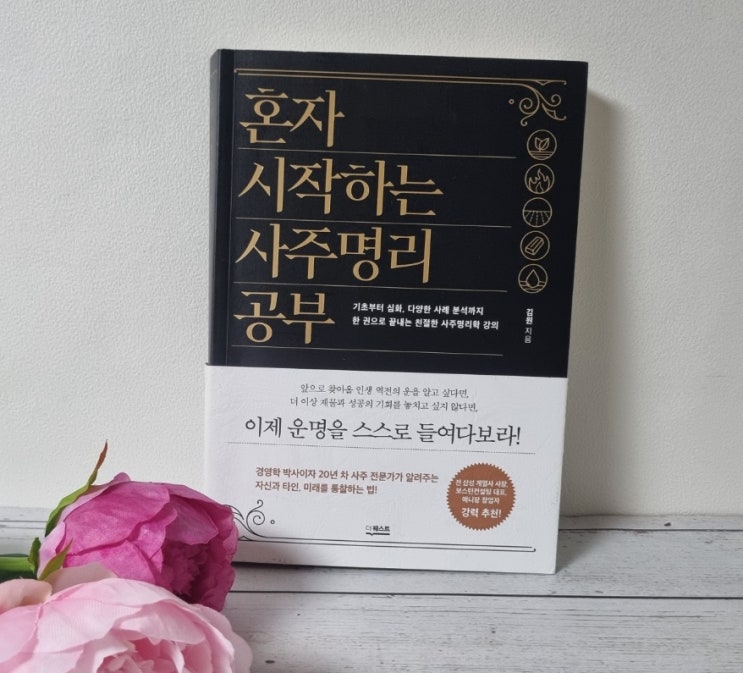  인생의 미래를 엿보는 여정, 혼자 시작하는 사주명리 공부