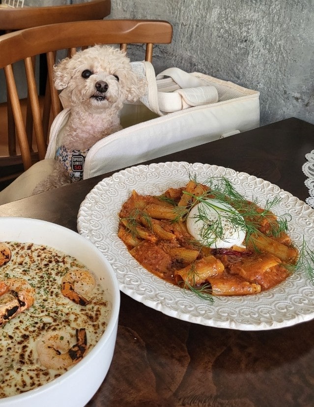  합정 애견동반 식당 이응이응이응이응 유럽감성의 마포맛집