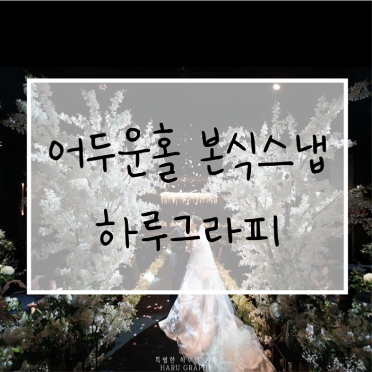  어두운홀 가성비 본식스냅 계약 후기_하루그라피