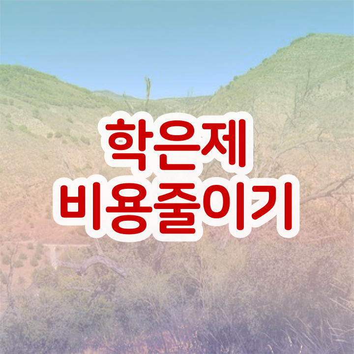  학점은행제편입 가격 플래너 이건 꼭 봐야해요