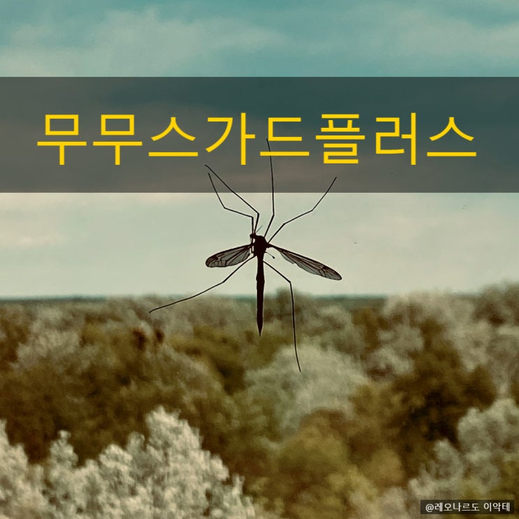  무무스가드플러스