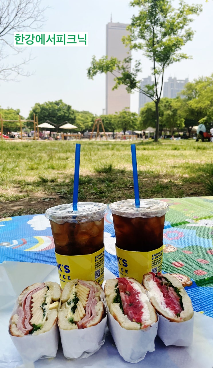  서울 여의도한강공원 피크닉과 책읽는 한강공원