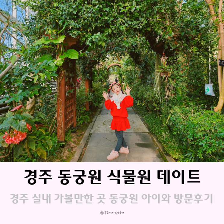 경주 실내 가볼만한 곳 경주동궁원 실내 식물원 데이트 경주 실내 가볼만한 곳 경주동궁원 실내 식물원 데이트