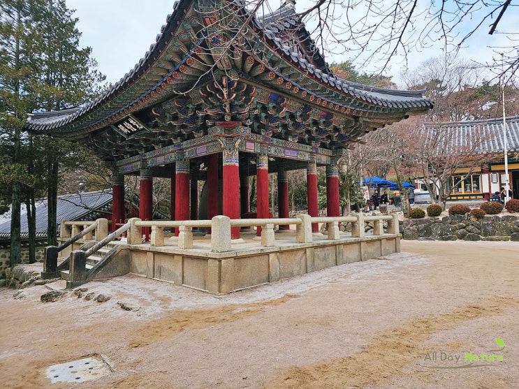  수학여행 추억을 찾아,경주 불국사 문화유산 탐방