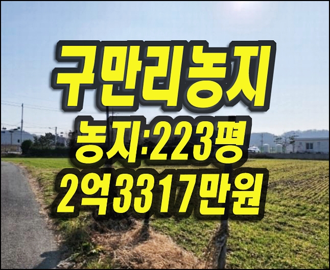  포항시 남구 호미곶면 구만리 농지 경매 매매