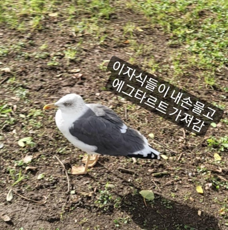  여행으로 삶이 바뀐다고? 노는데 진심인 이유