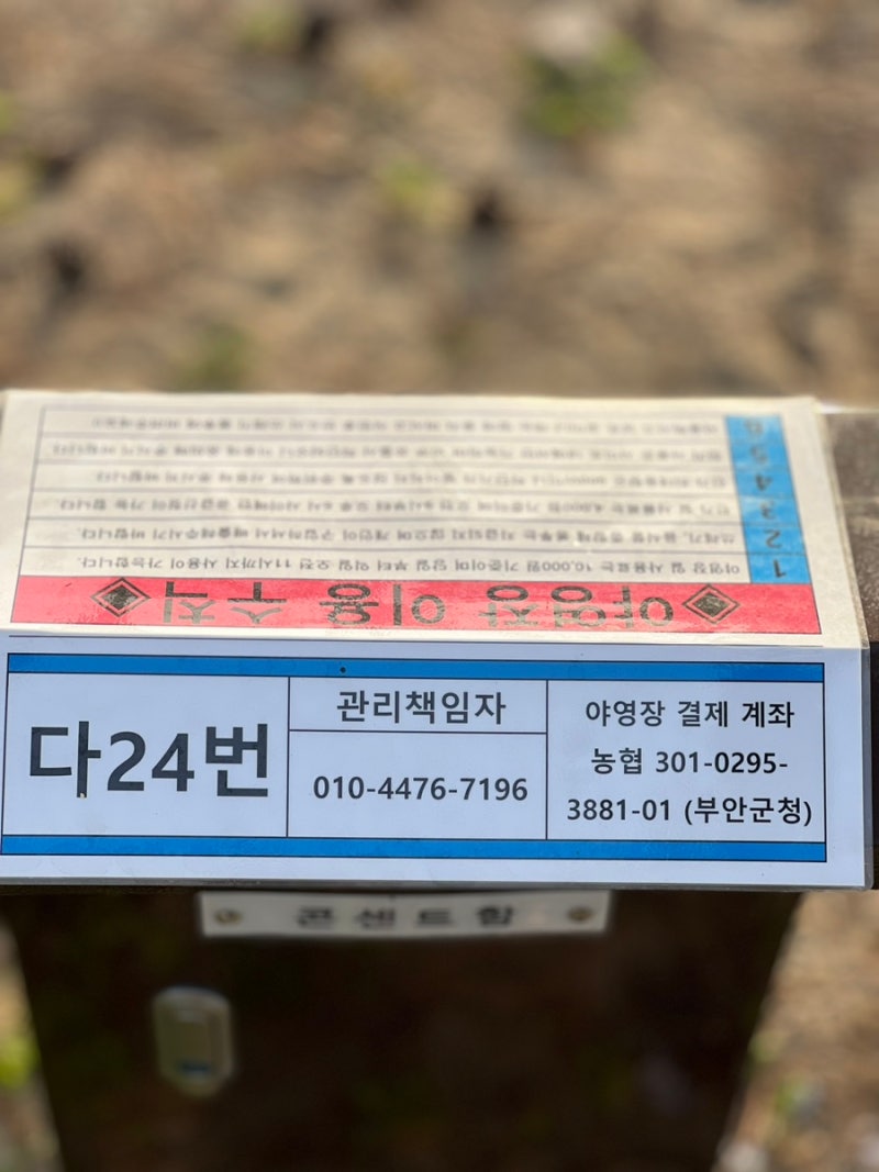 전주 근교 부안 캠핑장] 하루 만 원으로 즐길 수 있는 바다뷰 ”변산해수욕장 야영장“ : 네이버 블로그