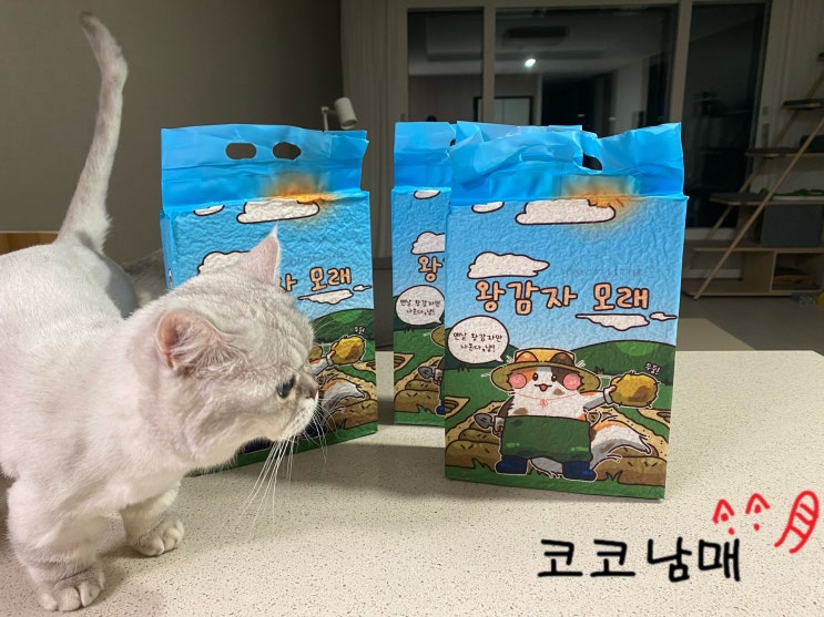  먼지 적고 짧은 코모코모 왕감자 두부모래