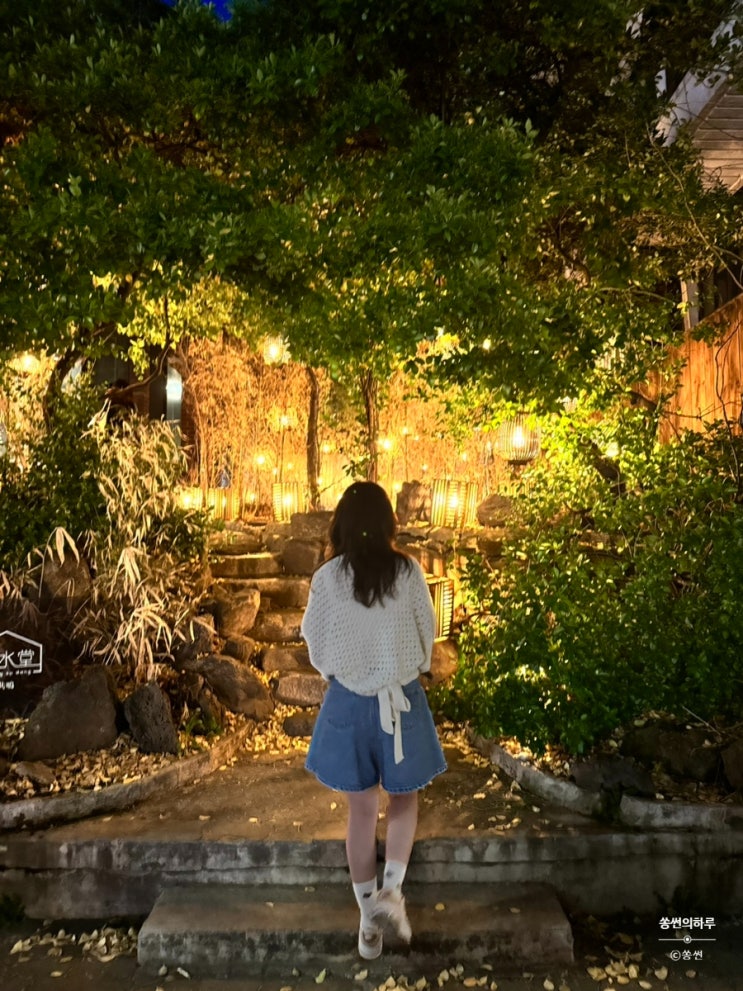  [홍대/연남] 홍대입구역 데이트 추천 도심 속의 숲 카페 청수당공명