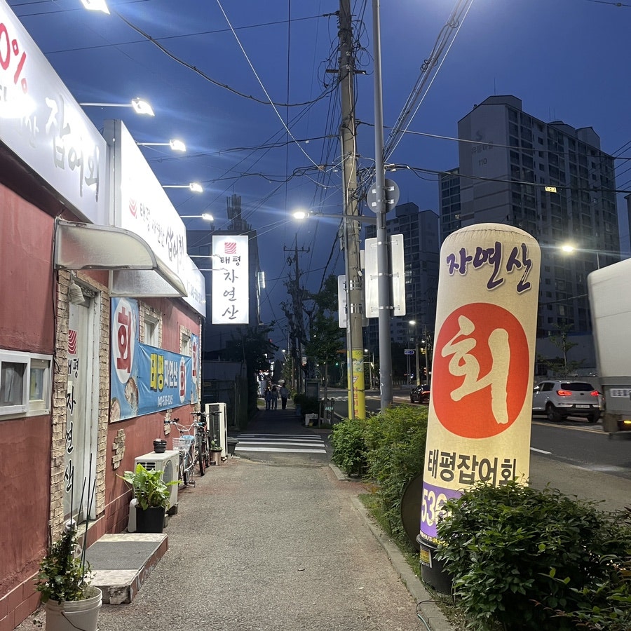 태평자연산잡어회 사진 3