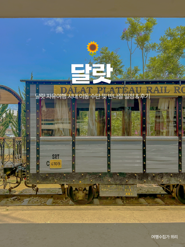  달랏 시내 반나절 일정 추천, 달랏 시내 관광 교통 수단 비교 + 실제 다녀온 후기