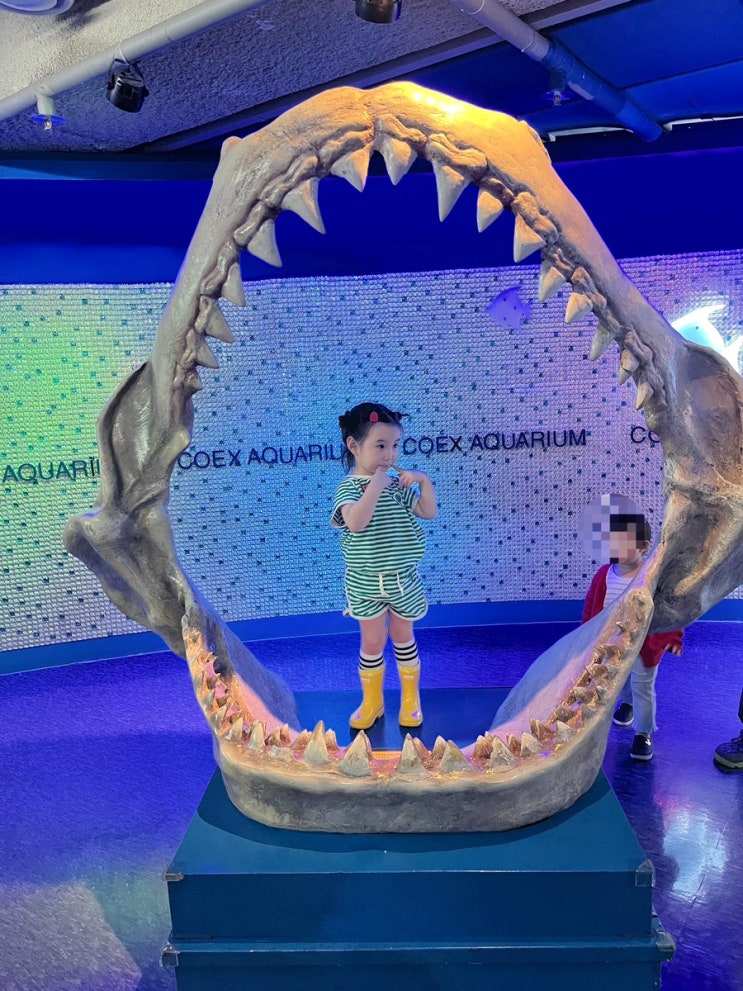  36개월미만무료 서울 아기랑 갈만한 곳, 코엑스 아쿠아리움