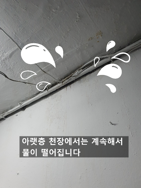  현장기록 =한의원 누수=