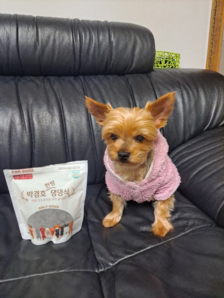 박경호 한방 댕댕식 녹용 콘드로이친 조인 솔루션, 우리 강아지의 건강한 관절을 위한 선택!