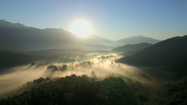 사회복지사2급 ~ 사회복지사 직장인도 온라인으로 수월하게
