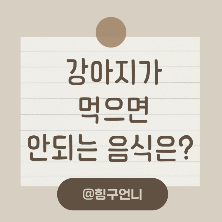  강아지 포도, 토마토 줘도 괜찮을까?