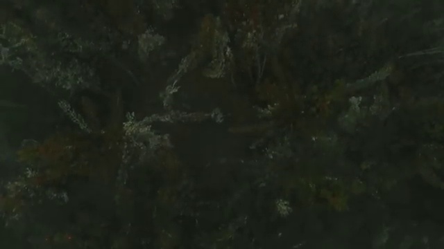  사회복지사2급저렴 사회복지사 조건이 안돼도 온라인 과정으로 빠르게
