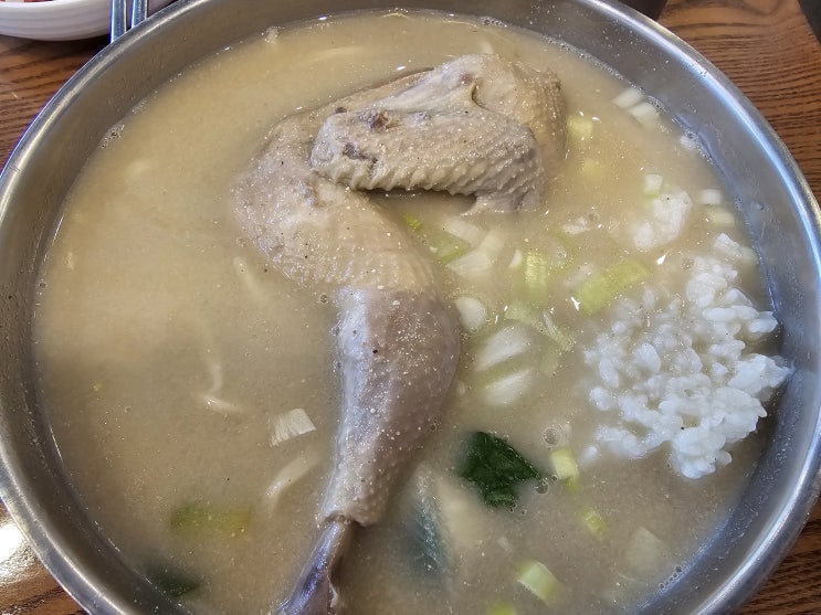  [대구/칠성동] 대구역 주변 칠성동 맛집 현풍닭칼국수 대구점