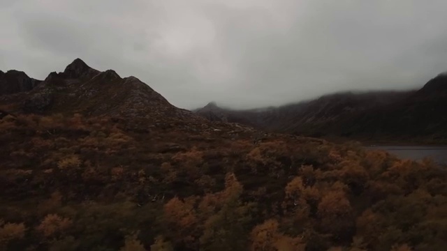  의료사회복지사 채용 사회복지사 대학진학없이 온라인으로 간편하게