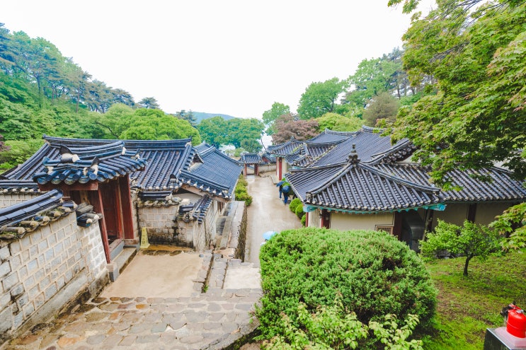  선비스토리투어 안동여행 선성수상길 도산서원 목판인출체험