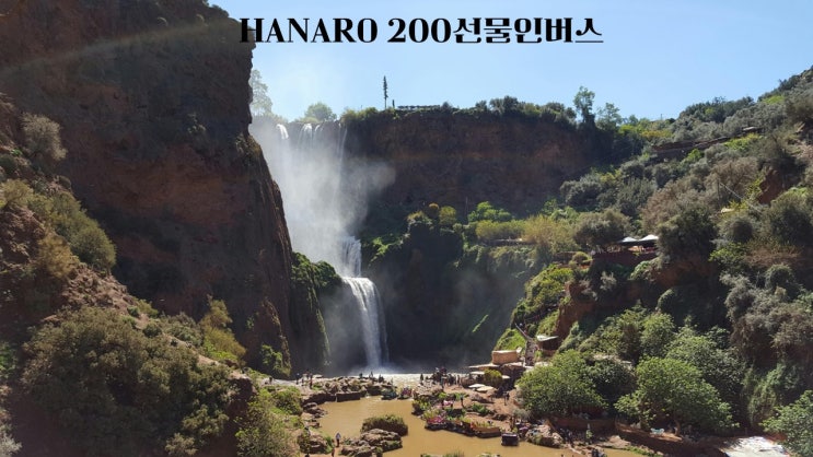 HANARO 200선물인버스/306520