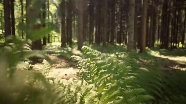 피부관리사 자격증 비용 , 피부관리 창업 하나도 모른다면 알아야 하는 면허증