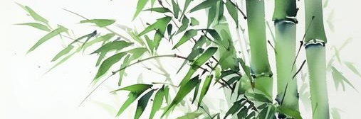  각질샴푸 제발 아무거나 쓰지 마세요!