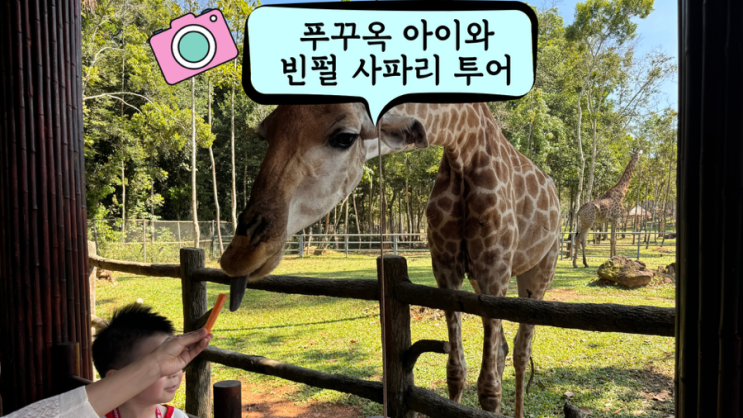  아이와 푸꾸옥 빈펄 사파리 VIP 투어, 기린 식당에서 먹이주기, 코끼리 먹이주기, 지도