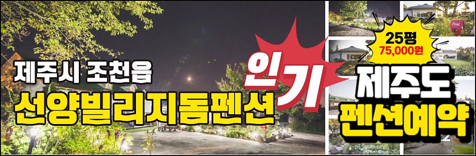 선양빌리지돔 사진 1