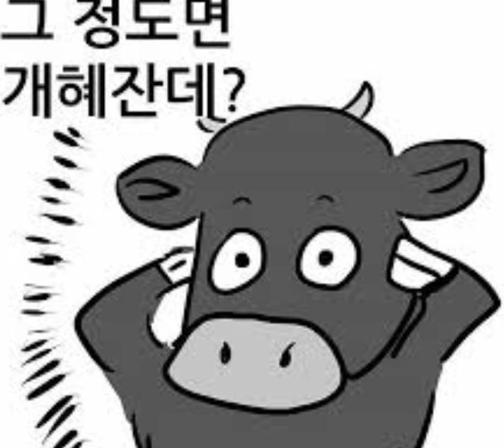  LG유플러스 VS SK 아이폰 15 어린이날 가격 전쟁?!