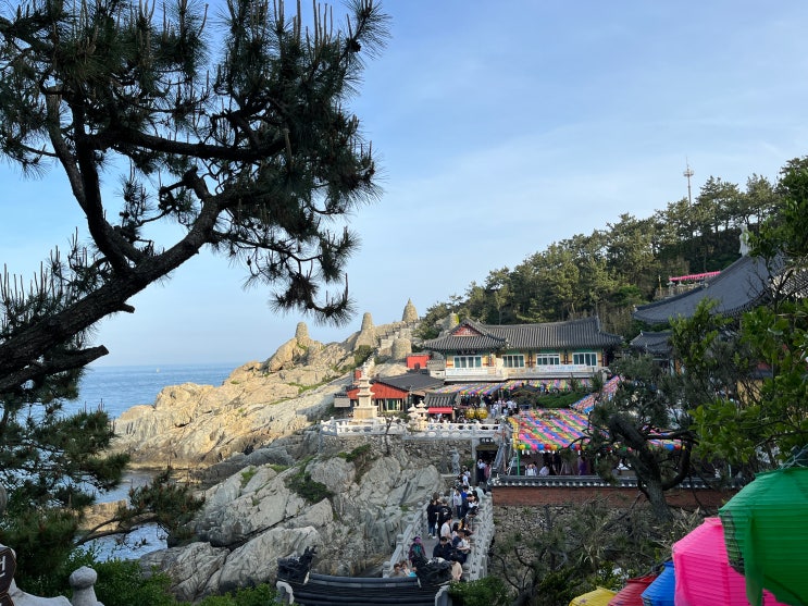  해동 용궁사 입장료 주차 팁 볼거리 먹거리