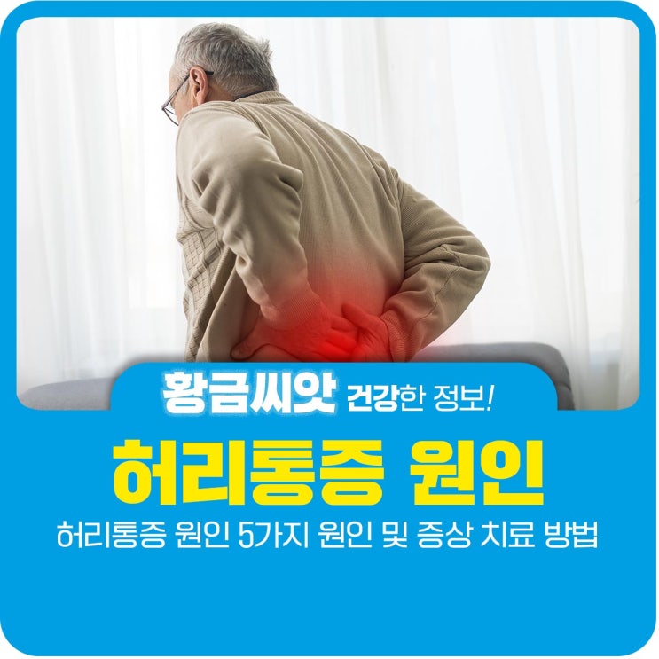  허리통증 원인 5가지 원인 및 증상 치료 방법