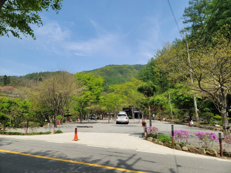사진 10