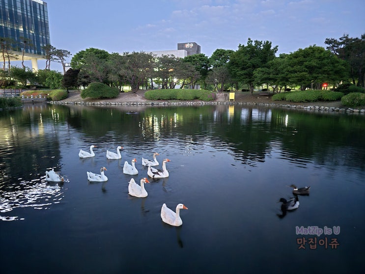  4월 일기 / 화봉산, 우성이산 등산, 충남대학교 도서관, 문지동맛집 지호카레, 카이스트 오리연못