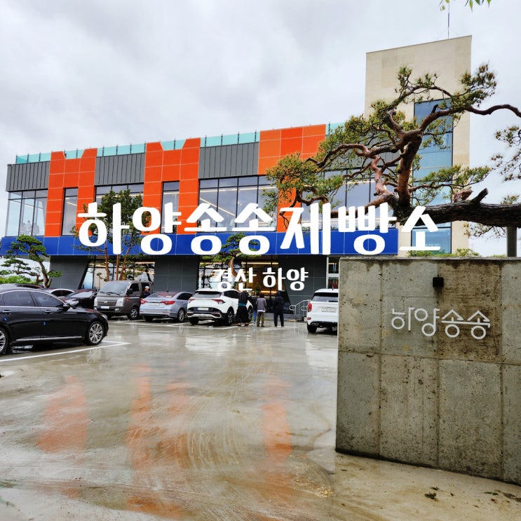  경산 하양 하양송송제빵소 베이커리 대형 신상 카페